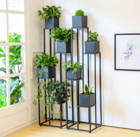 卉创世纪花木服务内容